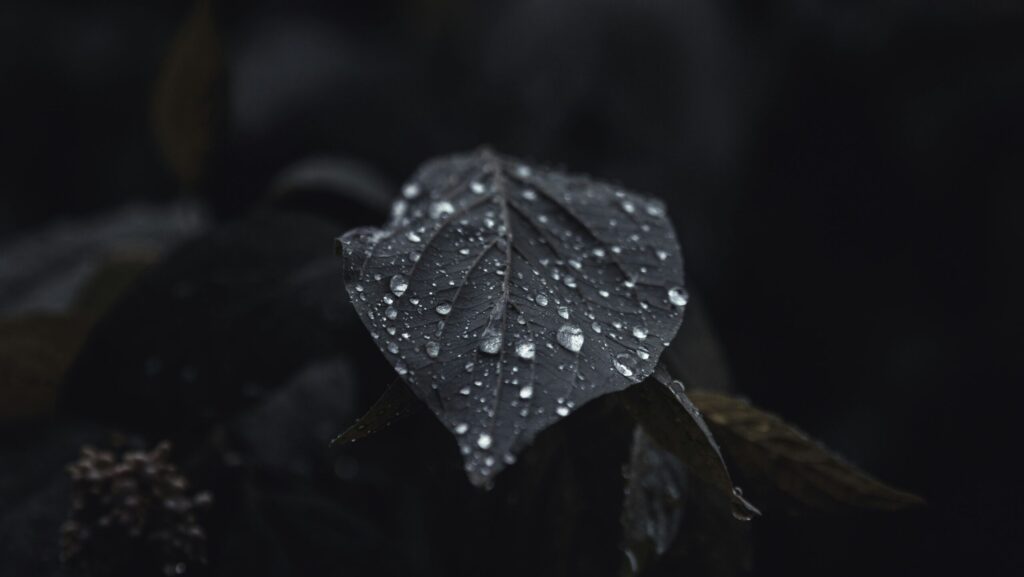 The Hidden Good in What Hurts